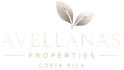 Avellanas Properties